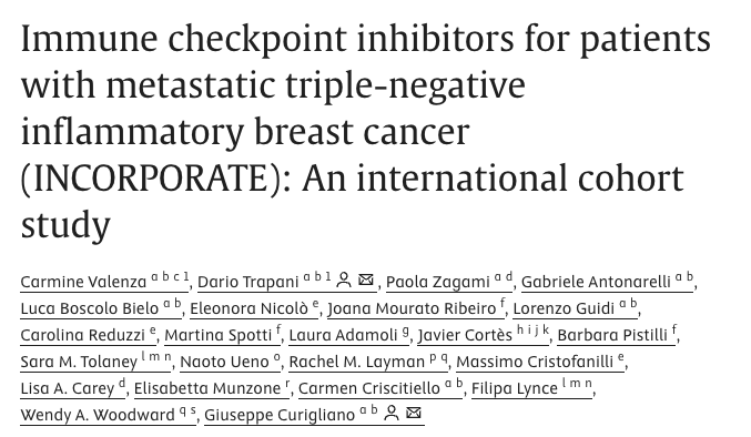 Paolo Cotzia: Investigating the role of immunotherapy in metastatic inflammatory breast cancer